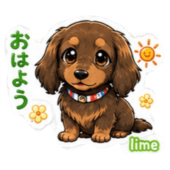 lime_20260523131251
