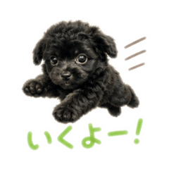 Wancoromugi
