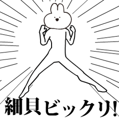 Rabbit Name hosogai.moves!