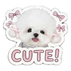 yunichan_20260516010537