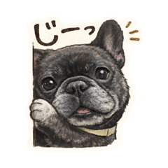 kana._20260523011741
