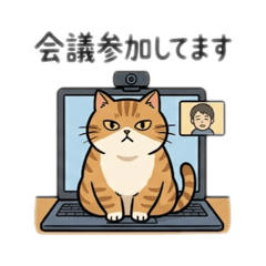 Cats & Remote Work