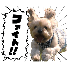popomaru_20260523074118