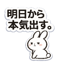 A Chill White Bunny Doing Its Best