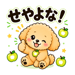 pome_20260523135058