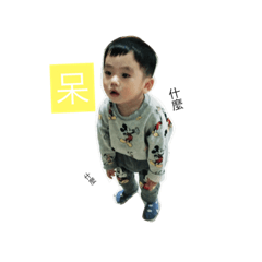 安安語錄