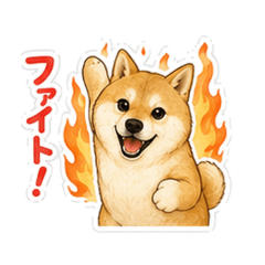 masa_20260523151911