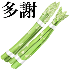 Flesh Asparagus 8