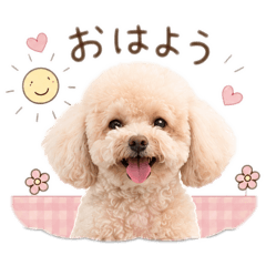 yuka_20260523154649