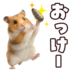 Cute moving hamster