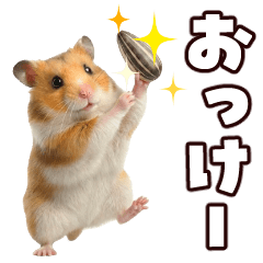 ちょこまか動く！ハムスター