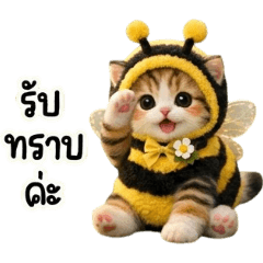 Bumble Bee Cat : Roger That