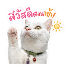 look_20260428220958