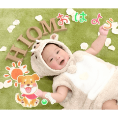 genmai_20260523165155