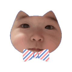 C_20260603003045