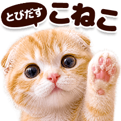 とびだす！こねこ