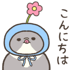 ☆とろけるネコの春☆スコティッシュ1