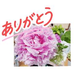 nonko_20260523174349