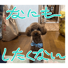 masaki_20260523185332