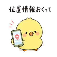 ぴよまる。かまってver.