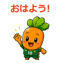Ninjin Soccer NC719785