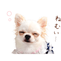 maimai_20260523202625