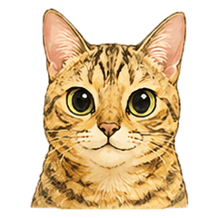 Bengal Cat Everyday Stickers
