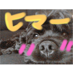 Kuu&Daiki