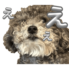 Alice_20260523211752