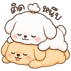 น้องหมาจิมมี่ <3