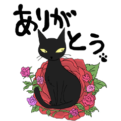 Conversa com um gato preto