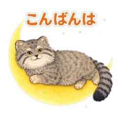 Furura_20260523215033