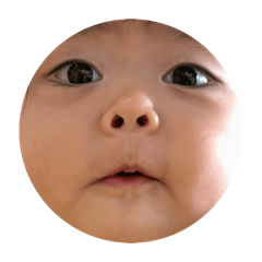 tomomi_20260523222717