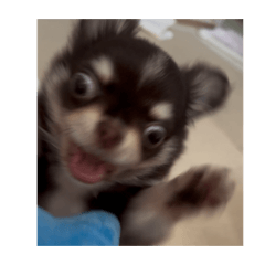 suzu_20260523232256