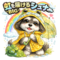Rainbow Messenger Schnauzer BIG