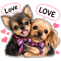 Yorkie-Chihuahua mom and puppy