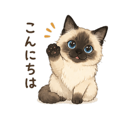 Fluffy Siamese Cat Stickers