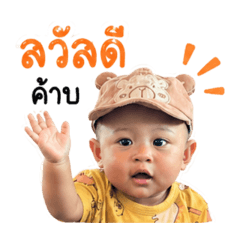 Nasrin_20260429001708