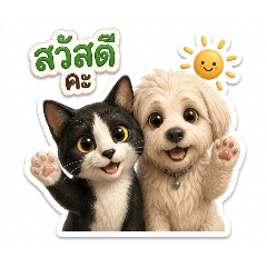 sutin_20260429001058
