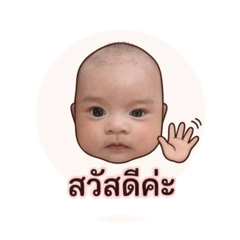 only_20260429001857