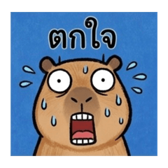 Capybara Feeling_20260429012343