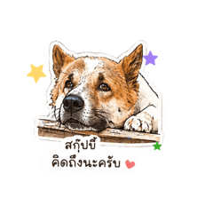 sleep_20260429012230