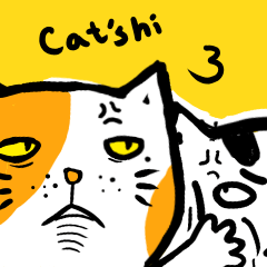 Cat's hi3