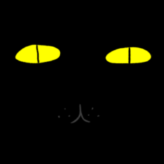 Angulate Black-Yellow Cat