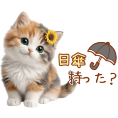 Fluffy Cat.4 Calico Cat