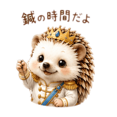 MIHO_20260516175205