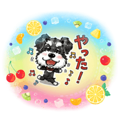 HANA_20260524031931