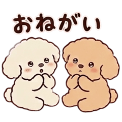 YUN_20260524092041