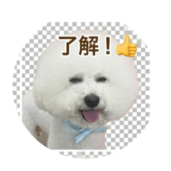 tenten_20260524092328