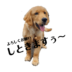 kana_20260524093005